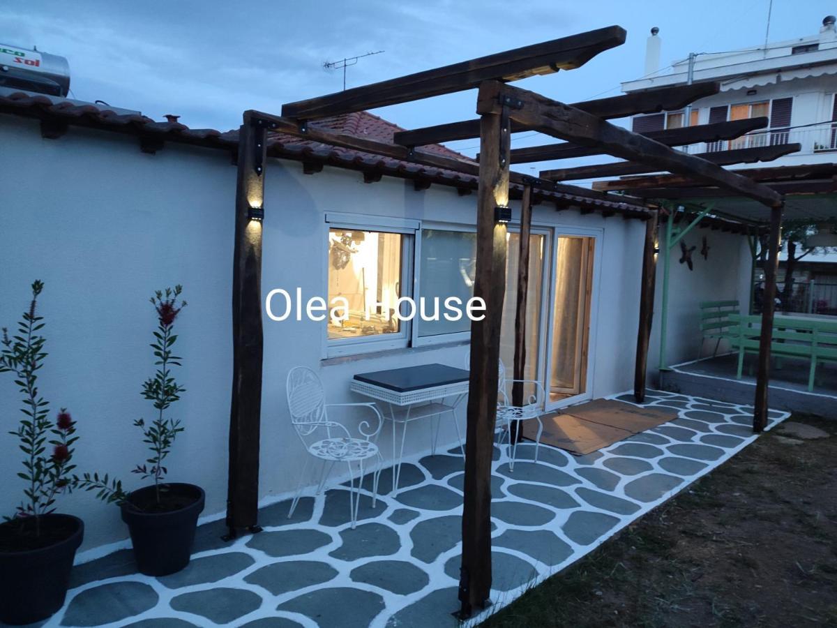 阿莫利亚尼岛Olea House别墅 外观 照片