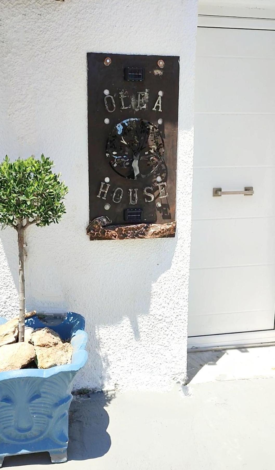 阿莫利亚尼岛Olea House别墅 外观 照片